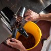 drceni kakaovyh bobu cokoladovna janek.jpg