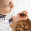 cokolada svestky v cokolade s cejlonskou skorici cokolada cokoladovna janek