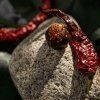 chilli lanyz ostry susene chilli cokoladovna janek